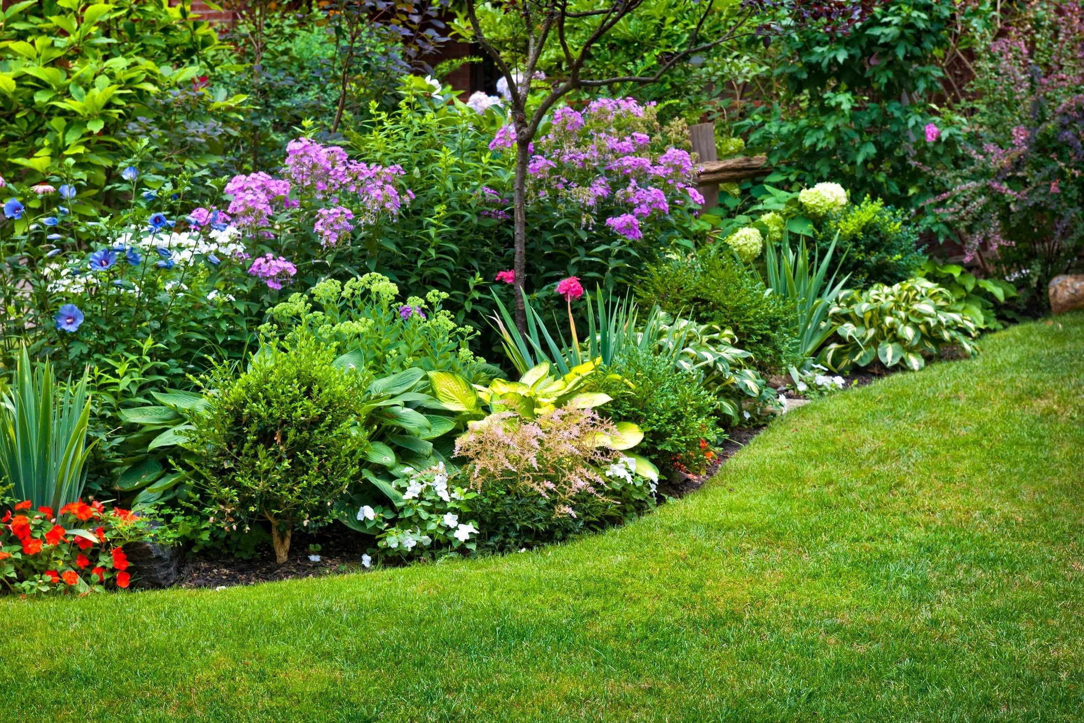 Colorful flower bed garden border with lawn